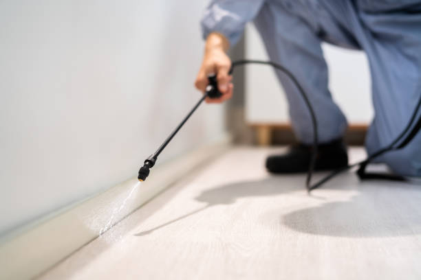 Rodent Entry Point Assessment in East Valley