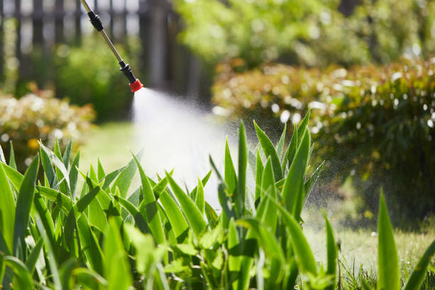 Tamper-Resistant Bait Stations for Rodents in East Valley